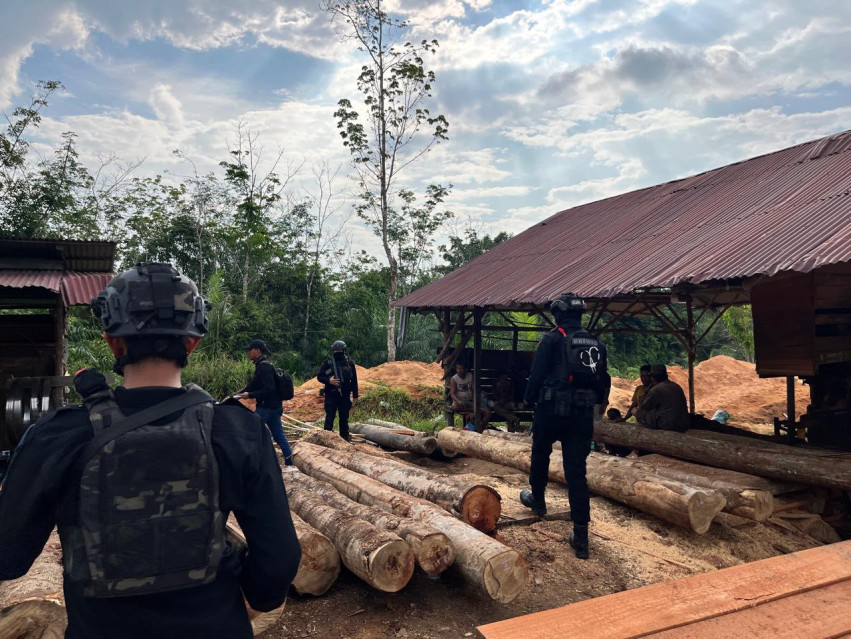 Dua Tahun Buron, Pemodal Perdagangan Kayu Ilegal di Kampar Ditangkap