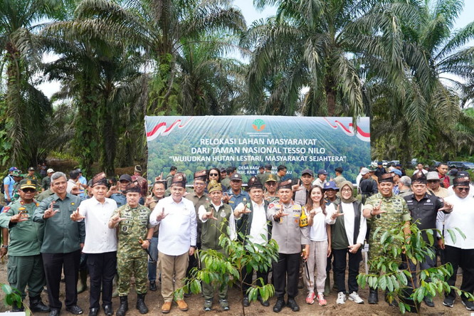 Upaya Pemulihan TNTN, 633 Hektar Kebun Sawit Diratakan