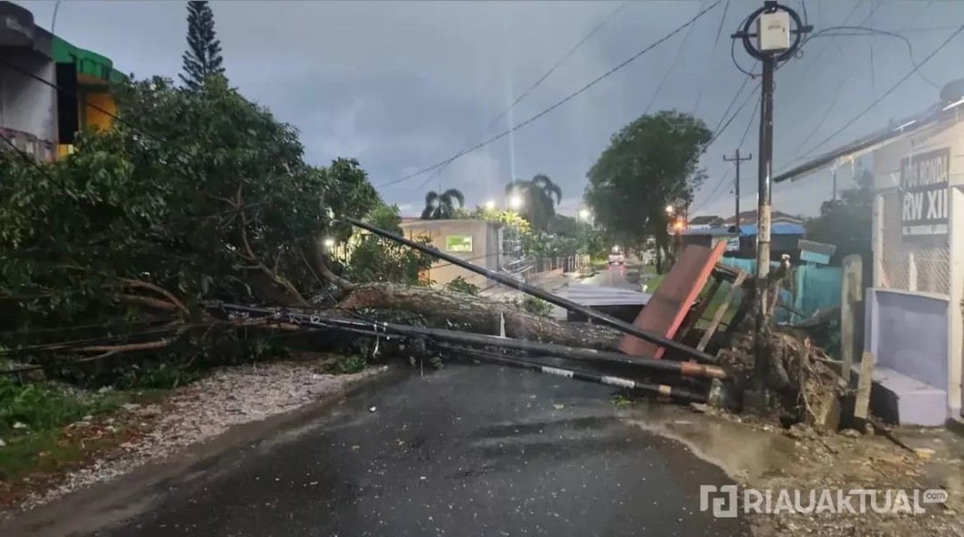 Usai Hujan, Pohon dan Tiang Wifi di Pekanbaru Tumbang