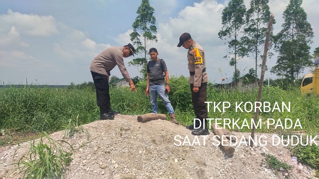 Karyawan Kontraktor Perkebunan di Pelalawan Tewas, Diduga Diterkam Harimau Sumatera