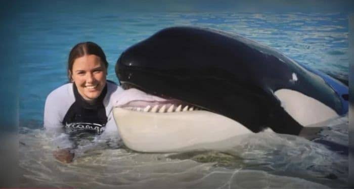 Viral Jessica Radcliffe Tewas Diserang Paus Orca, Ternyata Hoax Bikinan AI