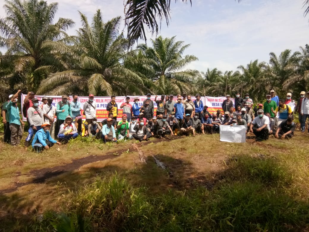 Petani Sawit PT Meskom Ancam Duduki Lahan Pola KKPA