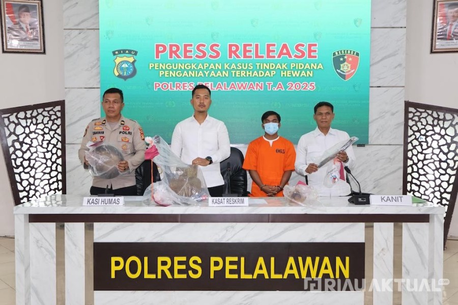 Daging Anjing Dibikin Sup dan Rendang, Pemilik Rumah Makan  Diamankan Polisi