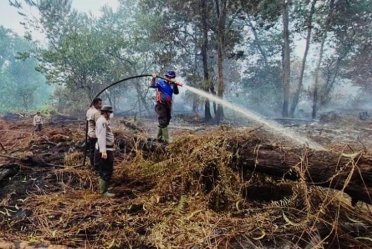Ibu Rumah Tangga Jadi Tersangka Karhutla 15 Hektare di Kampar