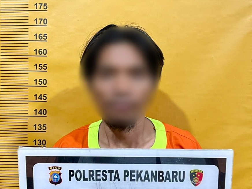 Diduga Curi Puluhan Pot Bunga DLHK, Pria di Pekanbaru Diciduk di Bawah Flyover