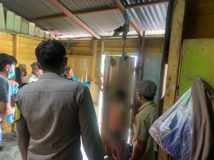 Petani Senyum Lebar! Lonjakan Harga CPO Bikin Pasar Sawit Memanas