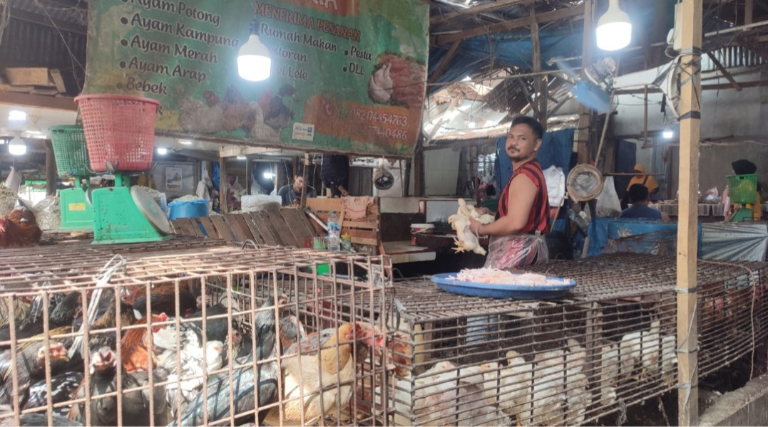 Harga Daging Ayam dan Telur Melambung di Pekanbaru