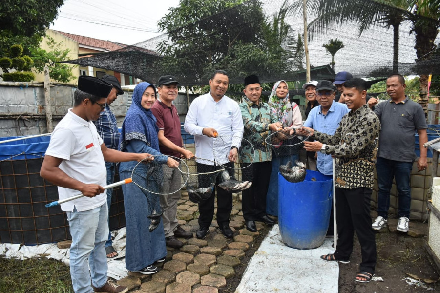 Panen Raya Ikan Nila Sistem Bioflok, Dorong Swasembada Pangan di Pekanbaru