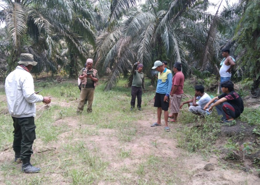 Konflik Gajah Liar di SM PLG Sebanga, Satu Warga Meninggal