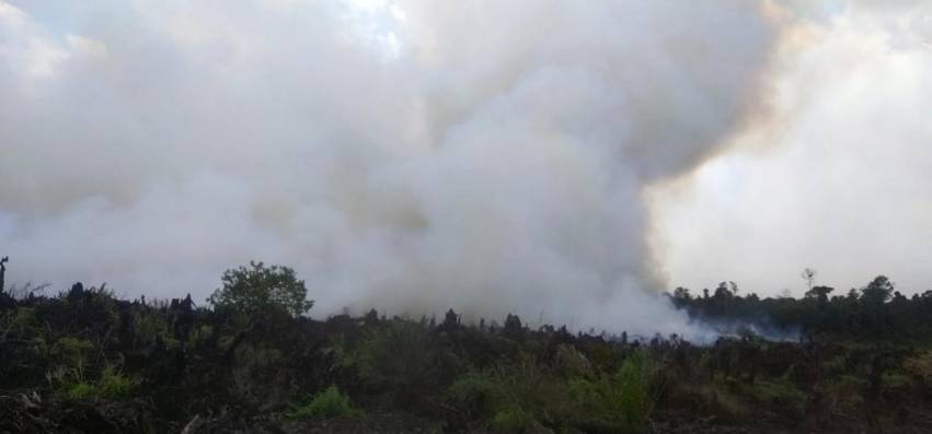 2023 Kemarau Panjang, Riau akan Tetapkan Status Siaga Karhutla Lebih Awa