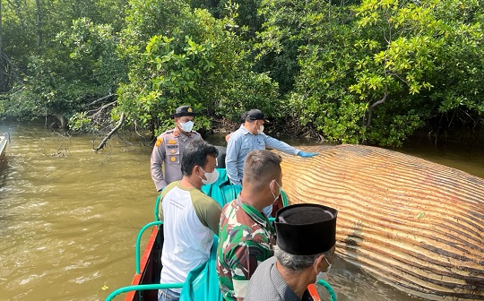 Tim KKP dan Polres Inhil Evakuasi Diduga Bangkai Paus di Perairan Sungai Bahale Mandah