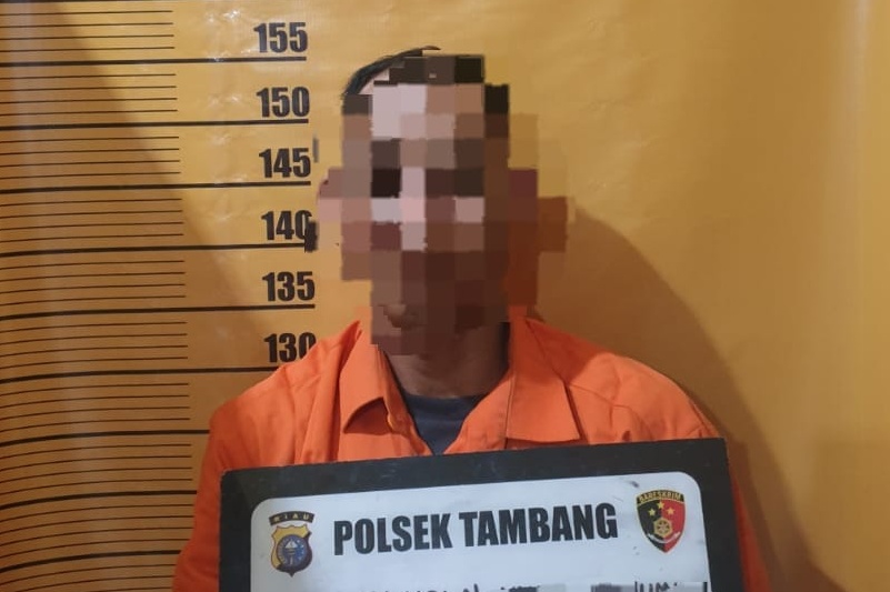 Setubuhi Anak Dibawa Umur, Pria di Kampar Ditangkap Polisi