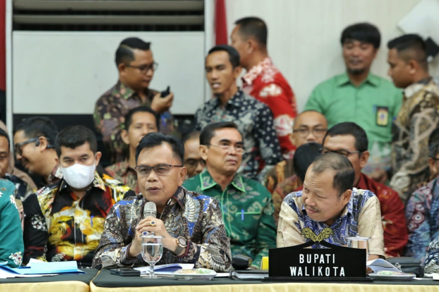 Plt Bupati Asmar Ikuti Pertemuan Pemprov Riau dengan Komisi V DPR RI