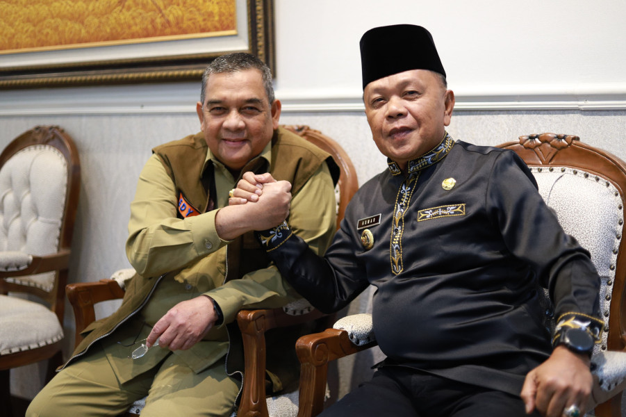 Rakor Dengan BNPB RI, Pemkab Meranti Terima Dukungan Dana Siap Pakai, Peralatan dan Logistik Penanganan Bencana