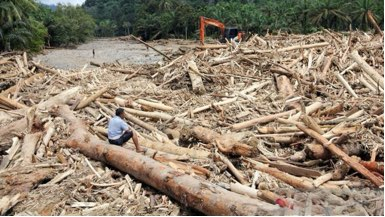 Gelondongan Kayu Hanyut Jadi Simbol Luka Sumatera