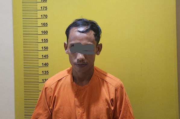 Sindikat Mobil Bodong Antarprovinsi Terbongkar, Polsek Ukui Amankan 4 Unit dan 1 Pelaku