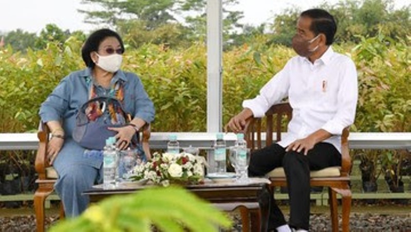 Soal Capres PDIP, Hasto Ungkap Akan Ada Pertemuan Intens Mega-Jokowi