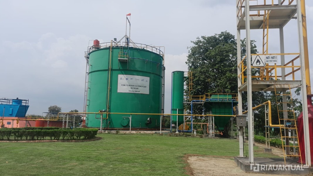 Home Ekonomi PTPN IV Regional III Sulap Limbah Sawit Jadi Bahan Bakar Pabrik dan Listrik