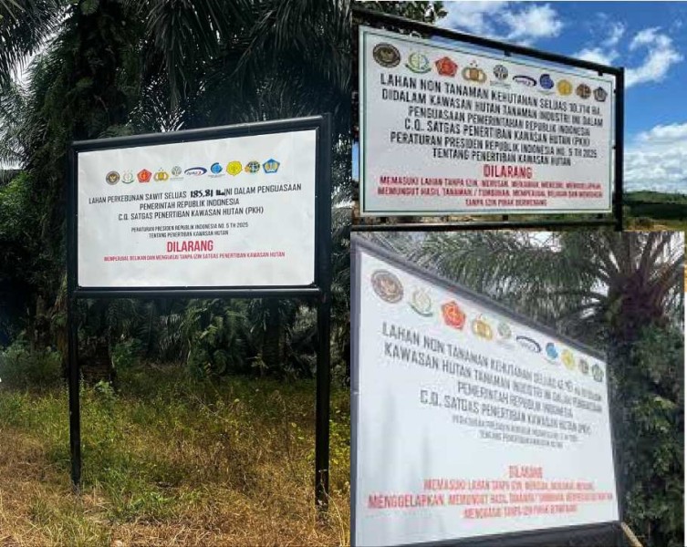 Eks-Penggarap Diduga Kembali Kuasai Lahan Sitaan Satgas PKH