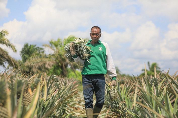 Kenaikan Nilai Tukar Petani Riau Tertinggi di Sumatera