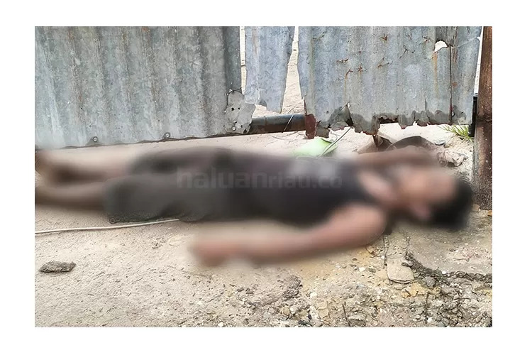 Ditemukan Tergeletak Kaku, Seorang Pria Meninggal Diduga Tersengat Listrik