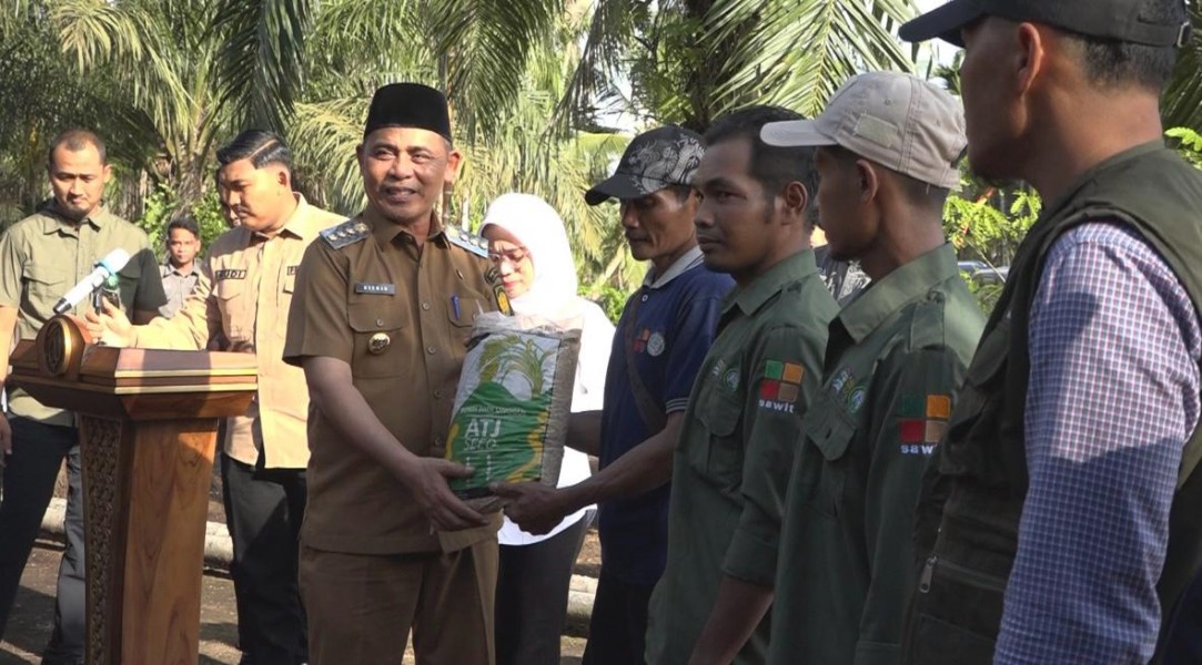 Terobosan Terbaru Pemkab Inhil Tanam Perdana Padi Gogo di Lahan Program Peremajaan Sawit Rakyat