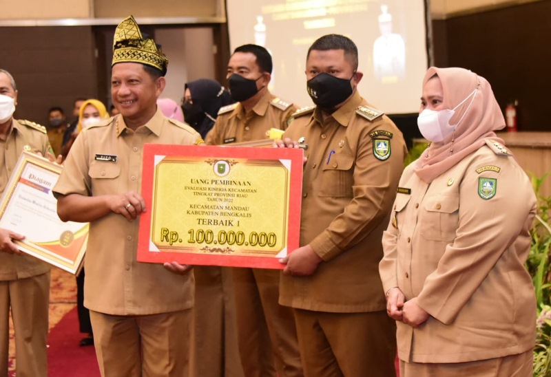 PAD Lampaui Target di Tahun 2021, Buk Kas Kembali Dapat Pujian dari Mendagri Tito Karnavian