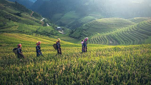 Bupati Inhu Ade Agus Hartanto Buka Suara Usai Kantornya Digeledah KPK