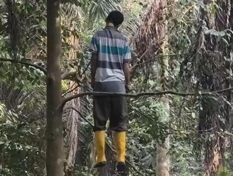 Warga Mekar Jaya Pelalawan Ditemukan Meninggal di Perkebunan Sawit