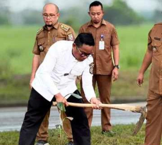 Bupati Zukri Pimpin Tanam Pohon Aren di Pangkalan Kerinci, Dorong  Ekonomi Masyarakat