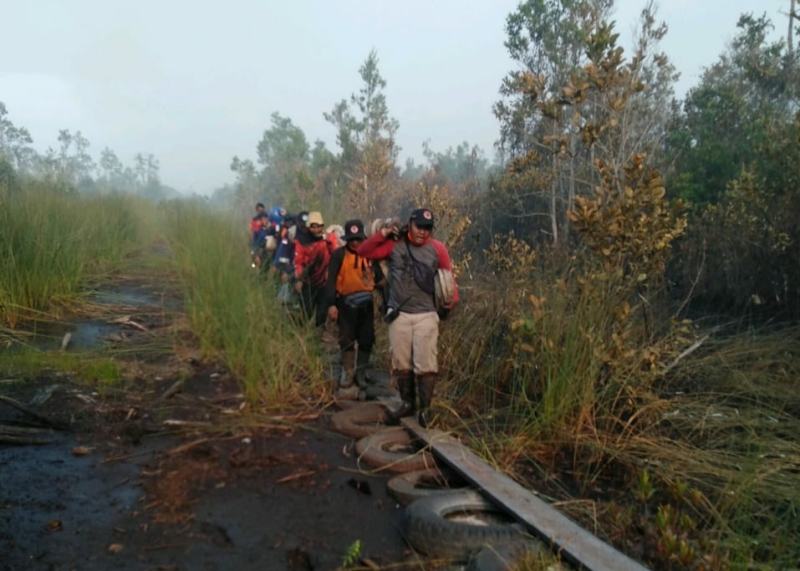 Polisi Tangkap 2 Pelaku Pembakar Hutan dan Lahan