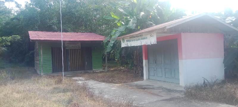 Diduga Dana USP-Bina Muda Desa Titi Akar di Korupsi