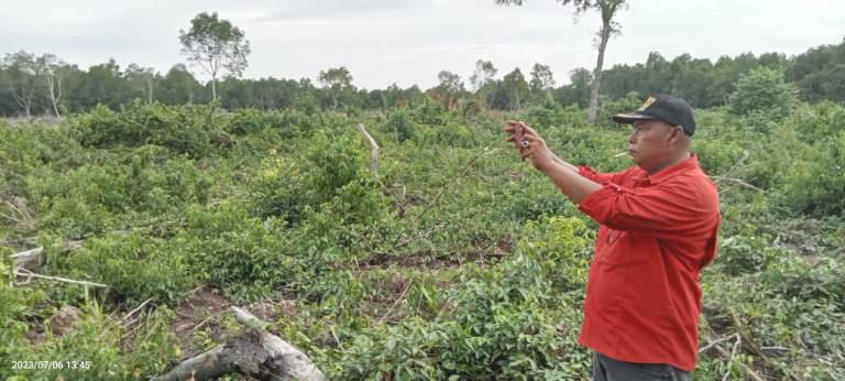 Di Penebal, 12 Hektar Kawasan Mangrove di Babat