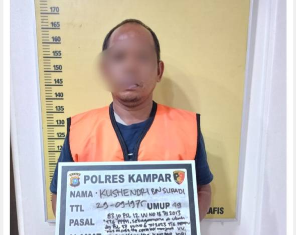 Bawa Kayu Ilegal, Sopir Truk Diamankan Polsek Kampar Kiri