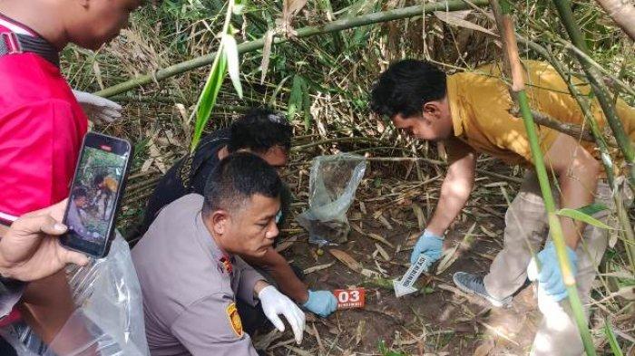 Pekerja Kebun Sawit di Inhu Temukan Tengkorak Manusia, Polisi Lakukan Analisis Forensik