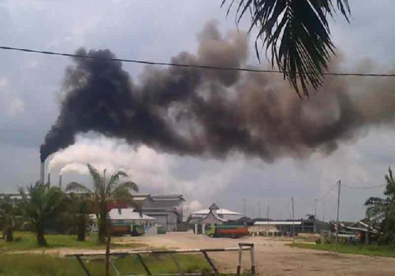 Terkait Pencemaran Udara Dari Asap Cerobong Milik PT TKWL DLH Bisu