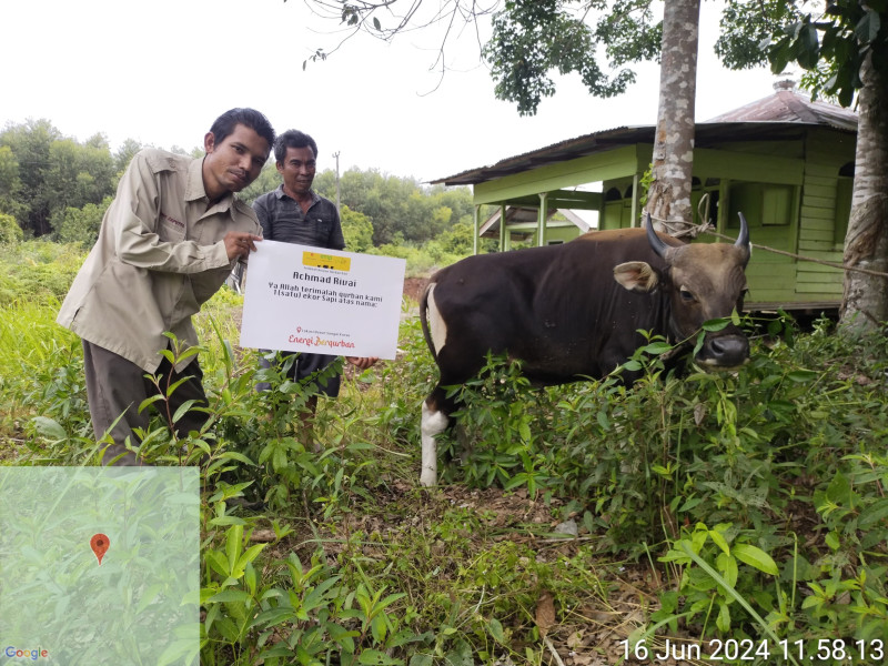 Dukung Peningkatan Ekomoni, PT. ITA Beli Puluhan Sapi dan Kambing Qurban Dari Warga Sekitar Operasional