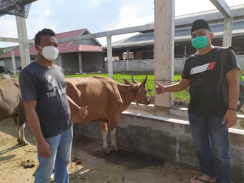 IDUL ADHA 1442 H, Perdana, PWI Bengkalis Sembelih Hewan Qurban dari Bupati Bengkalis