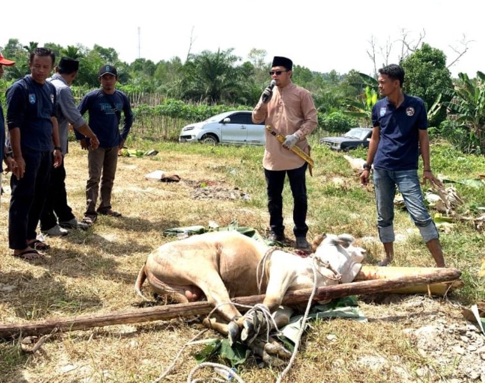 Anggota DPRD Bengkalis Surya Budiman Turun Langsung Sembelih Hewan Qurban