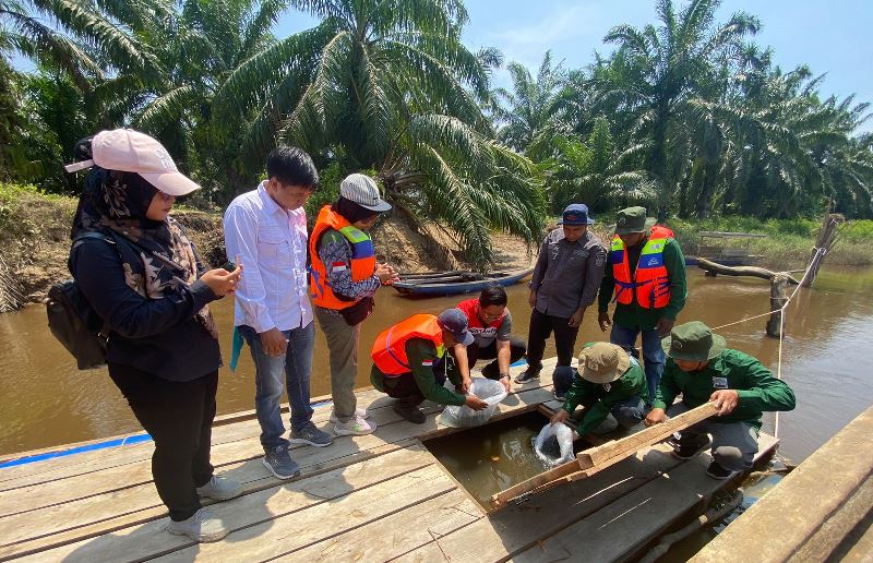 PHR Dukung Program Perhutanan Sosial Desa Siarang Arang Rohil