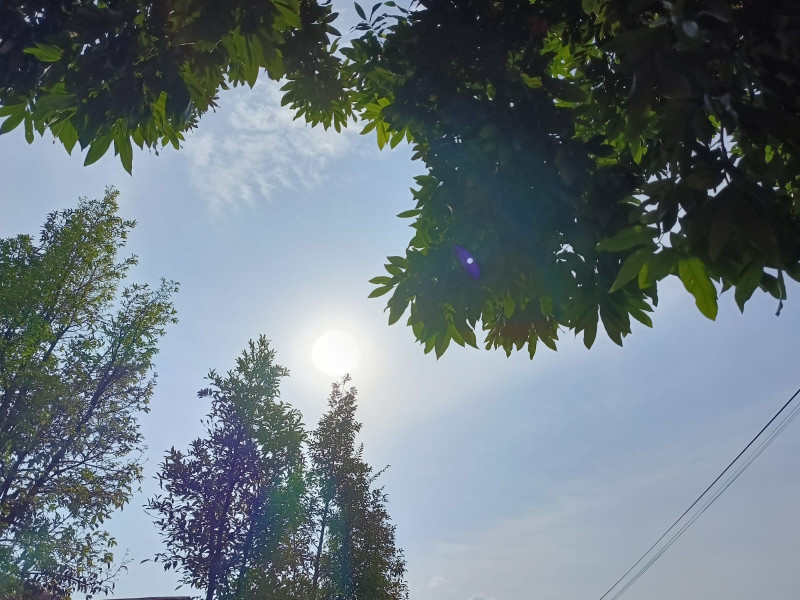 Cuaca Panas Landa Sejumlah Wilayah di Provinsi Riau, BMKG: Suhu Udara Riau Capai 34°C