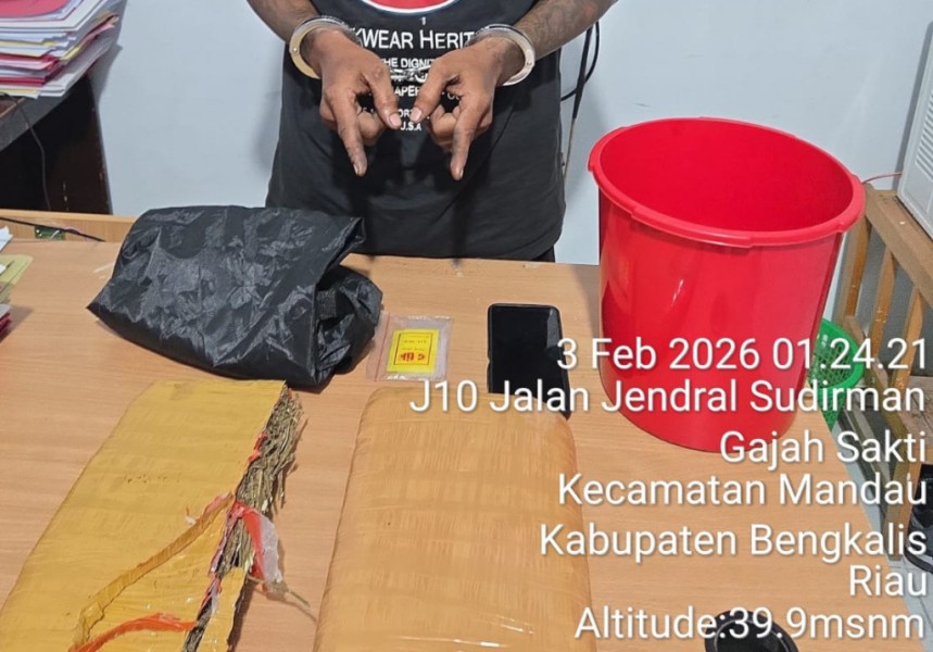 Sita 1,9 Kg Ganja, Polres Bengkalis Amankan Warga Mandau