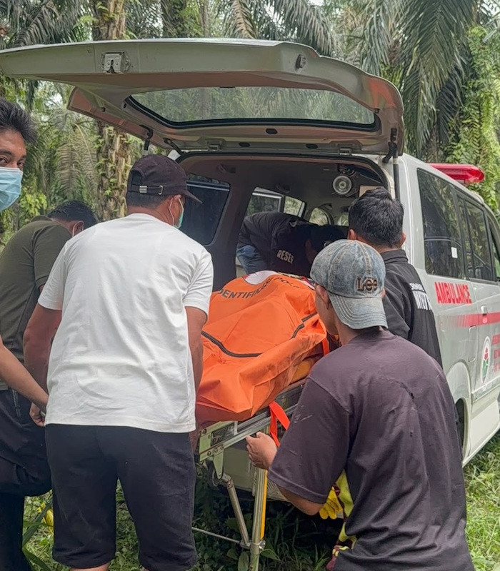 Ada Penemuan Mayat Pria di Kebun Sawit Pelalawan, Kondisi Membusuk