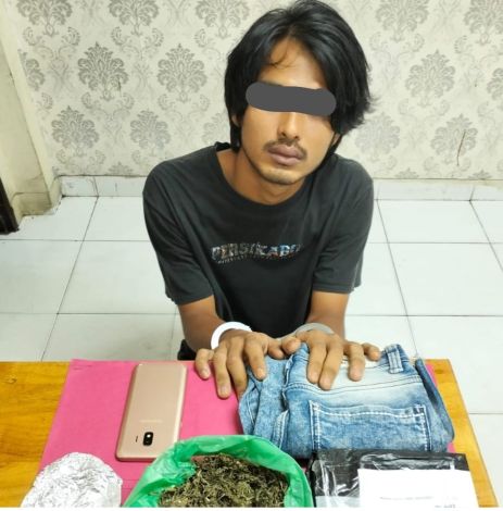 Edarkan Ganja Kering, Pria di Siak Diringkus Polisi