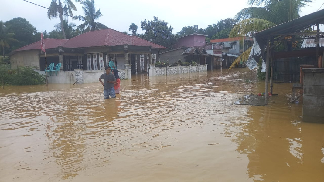 Banjir Rendam Lima Kabupaten di Riau, Pelalawan dan Kampar Paling Parah