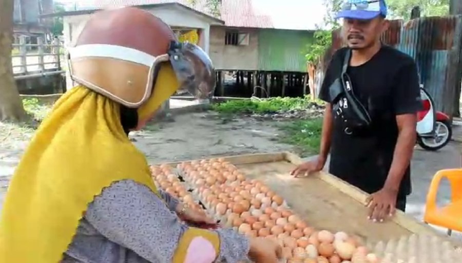 Harga Telur Ayam Naik Lagi, Satu Papan Tembus Rp 53 Ribu