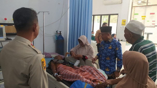 Lolos dari Maut, Nelayan di Siak Selamat Usai Bertarung dengan Buaya