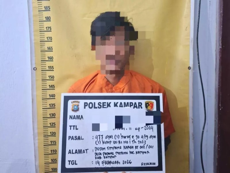 Sebelum Diamankan Polisi, Pencuri Sawit di Kampar Sempat Ayunkan Parang ke Sekuriti