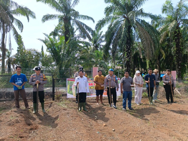 Polsek Tandun Bersama Warga Tanam Jagung di Tapung Jaya, Dukung Ketahanan Pangan Nasional