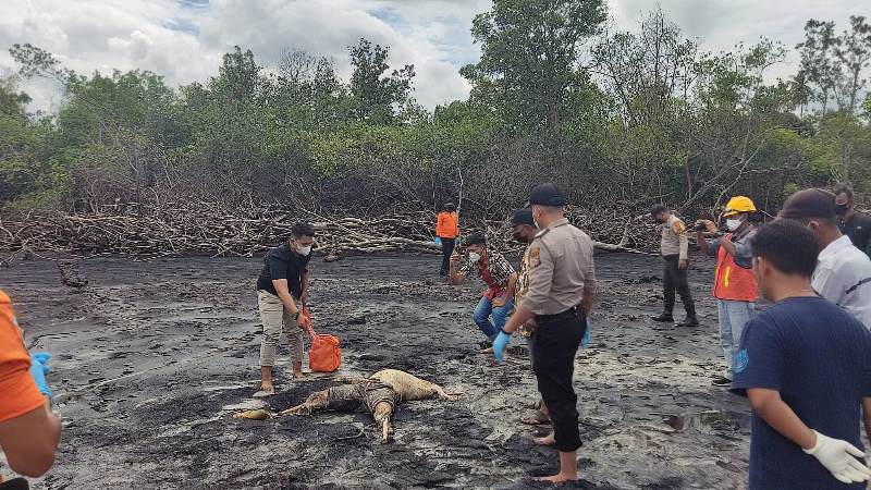 Mayat Tanpa Kepala Ditemukan di Pantai Parit II Pambang Baru